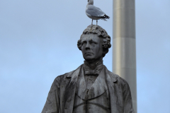 Unity-Gull